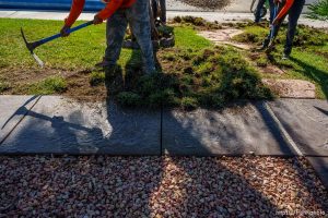 (Trent Nelson  |  The Salt Lake Tribune) Workers with Foxtail Turf remove the grass from Patricia Council's North Las Vegas yard, replacing it with artificial turf on Thursday, Sept. 29, 2022.