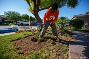 (Trent Nelson  |  The Salt Lake Tribune) Workers with Foxtail Turf remove the grass from Patricia Council's North Las Vegas yard, replacing it with artificial turf on Thursday, Sept. 29, 2022.