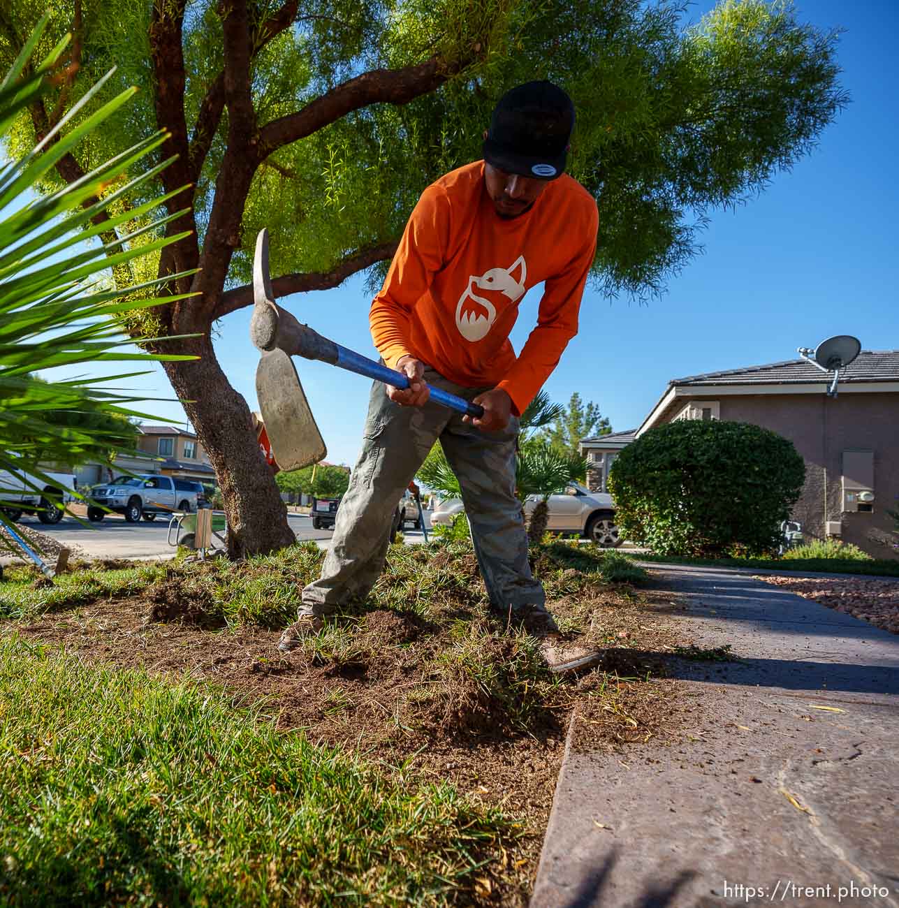 (Trent Nelson  |  The Salt Lake Tribune) Workers with Foxtail Turf remove the grass from Patricia Council's North Las Vegas yard, replacing it with artificial turf on Thursday, Sept. 29, 2022.