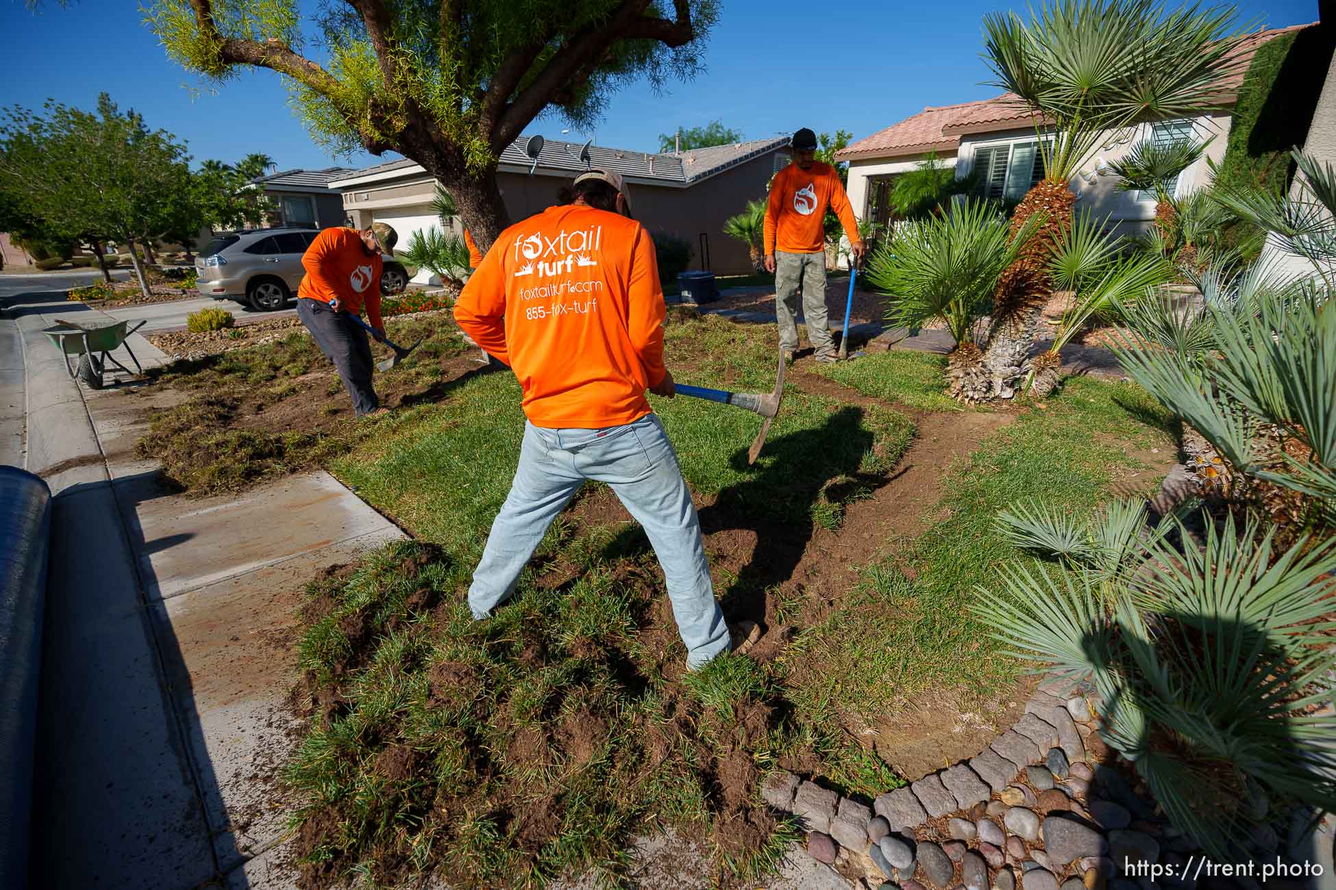 (Trent Nelson  |  The Salt Lake Tribune) Workers with Foxtail Turf remove the grass from Patricia Council's North Las Vegas yard, replacing it with artificial turf on Thursday, Sept. 29, 2022.