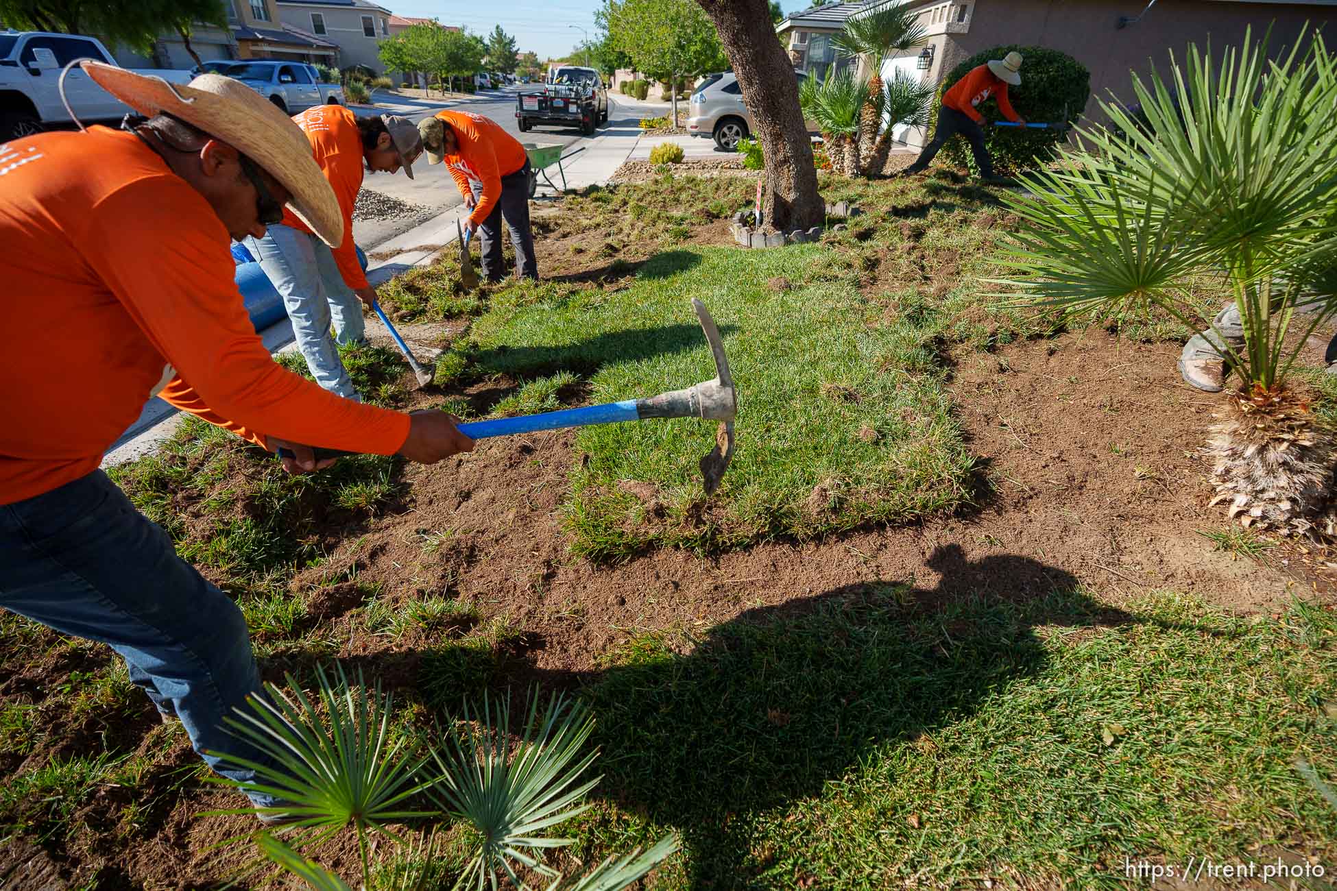 (Trent Nelson  |  The Salt Lake Tribune) Workers with Foxtail Turf remove the grass from Patricia Council's North Las Vegas yard, replacing it with artificial turf on Thursday, Sept. 29, 2022.