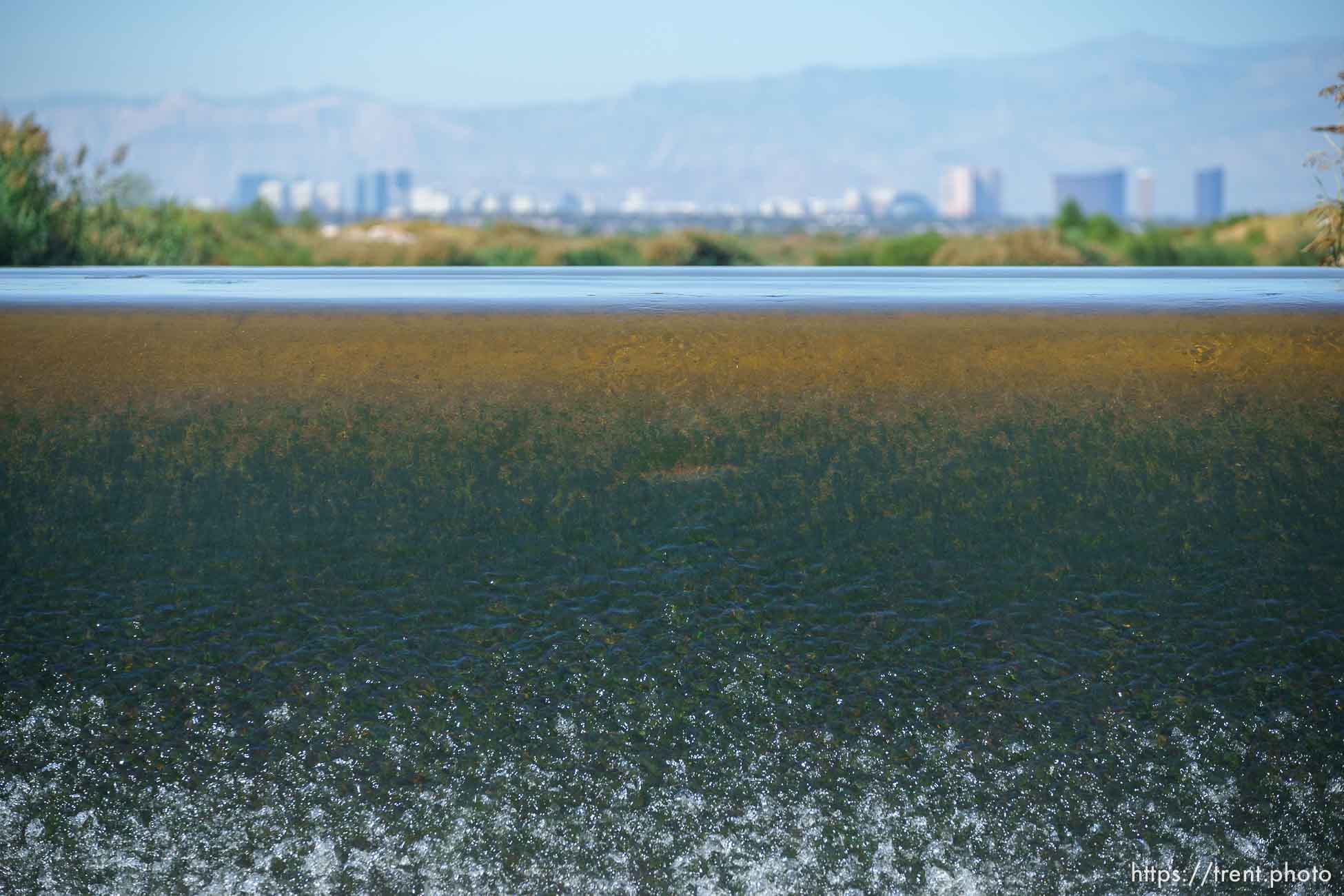 (Trent Nelson  |  The Salt Lake Tribune) Las Vegas Wash, a 12-mile-long channel that feeds treated water to Lake Mead, on Thursday, Sept. 29, 2022.