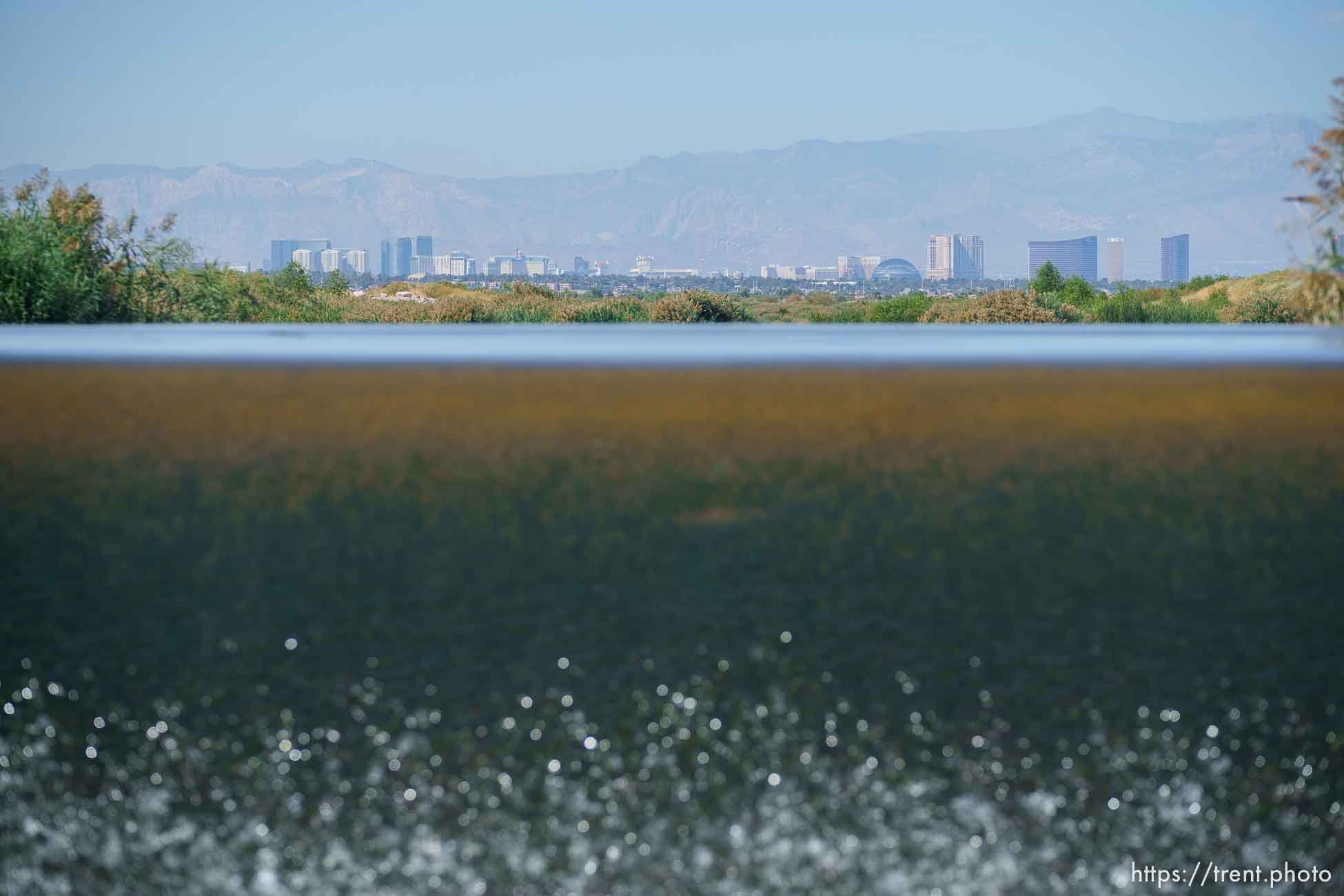 (Trent Nelson  |  The Salt Lake Tribune) Las Vegas Wash, a 12-mile-long channel that feeds treated water to Lake Mead, on Thursday, Sept. 29, 2022.