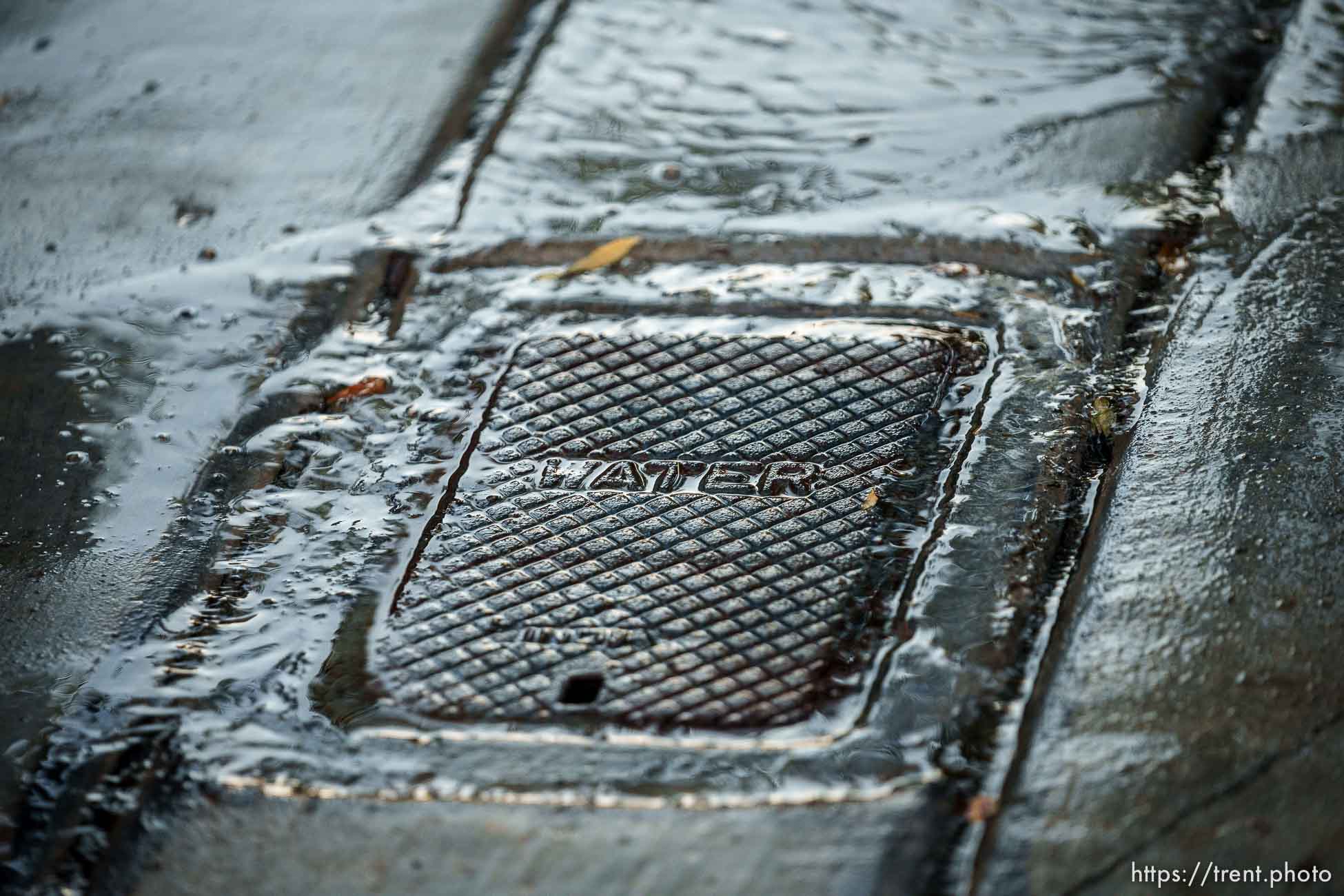 (Trent Nelson  |  The Salt Lake Tribune) Water from a leak in a sprinkler system in Summerlin, a community in the Las Vegas Valley, Nevada on Thursday, Sept. 29, 2022.