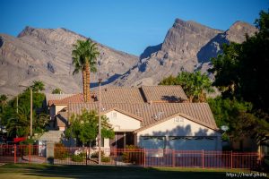 (Trent Nelson  |  The Salt Lake Tribune) Landscaping in Summerlin, community in the Las Vegas Valley, Nevada on Thursday, Sept. 29, 2022.