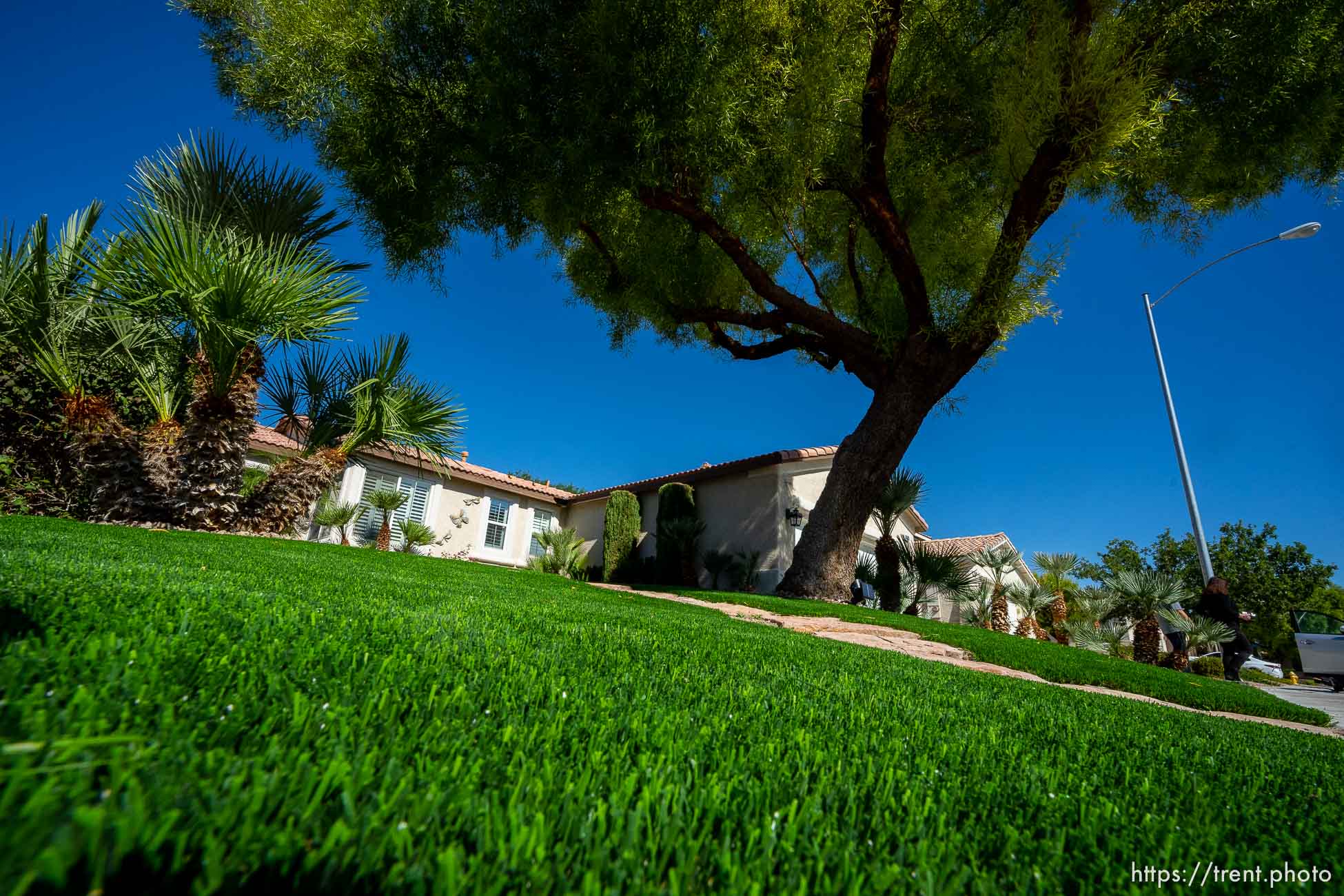 (Trent Nelson  |  The Salt Lake Tribune) Patricia Council's North Las Vegas yard after her grass was replaced with artificial turf, on Friday, Sept. 30, 2022.