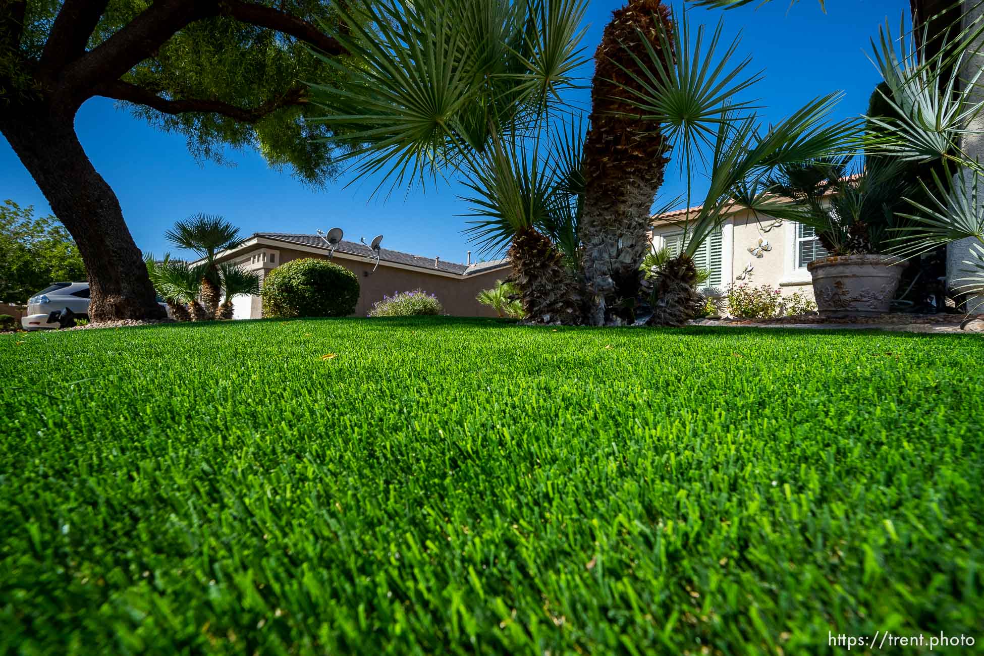 (Trent Nelson  |  The Salt Lake Tribune) Patricia Council's North Las Vegas yard after her grass was replaced with artificial turf, on Friday, Sept. 30, 2022.