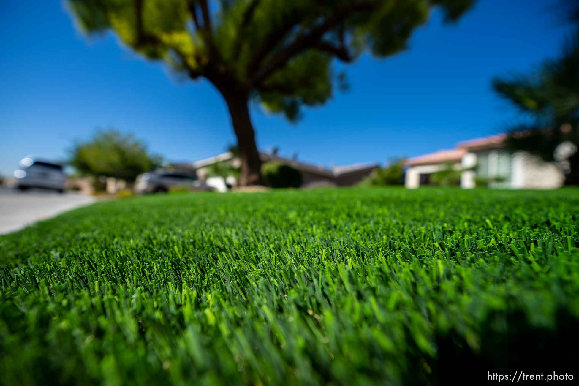 (Trent Nelson  |  The Salt Lake Tribune) Patricia Council's North Las Vegas yard after her grass was replaced with artificial turf, on Friday, Sept. 30, 2022.