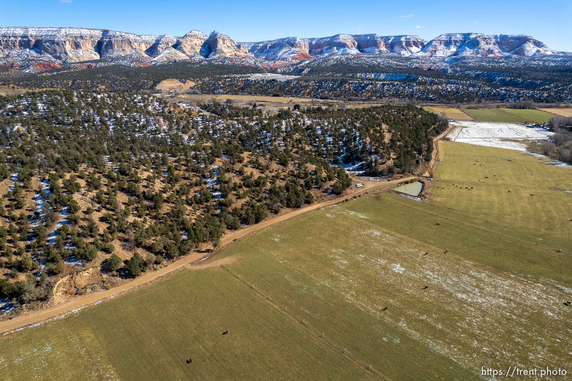 (Trent Nelson  |  The Salt Lake Tribune) Alfalfa fields in Mt. Carmel  on Thursday, Nov. 10, 2022.