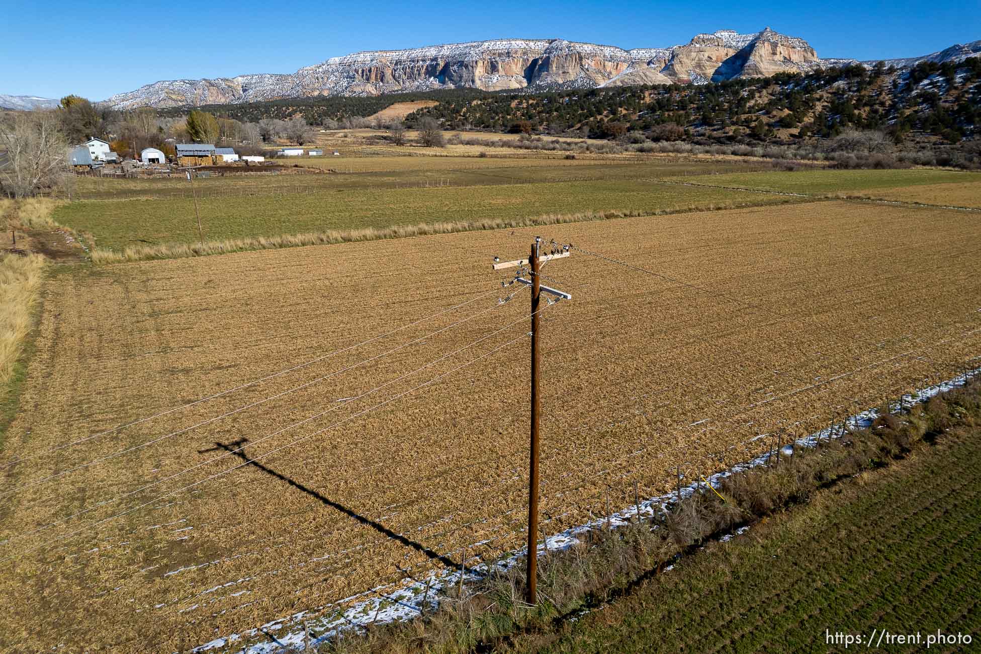 (Trent Nelson  |  The Salt Lake Tribune) Alfalfa fields in Mt. Carmel  on Thursday, Nov. 10, 2022.