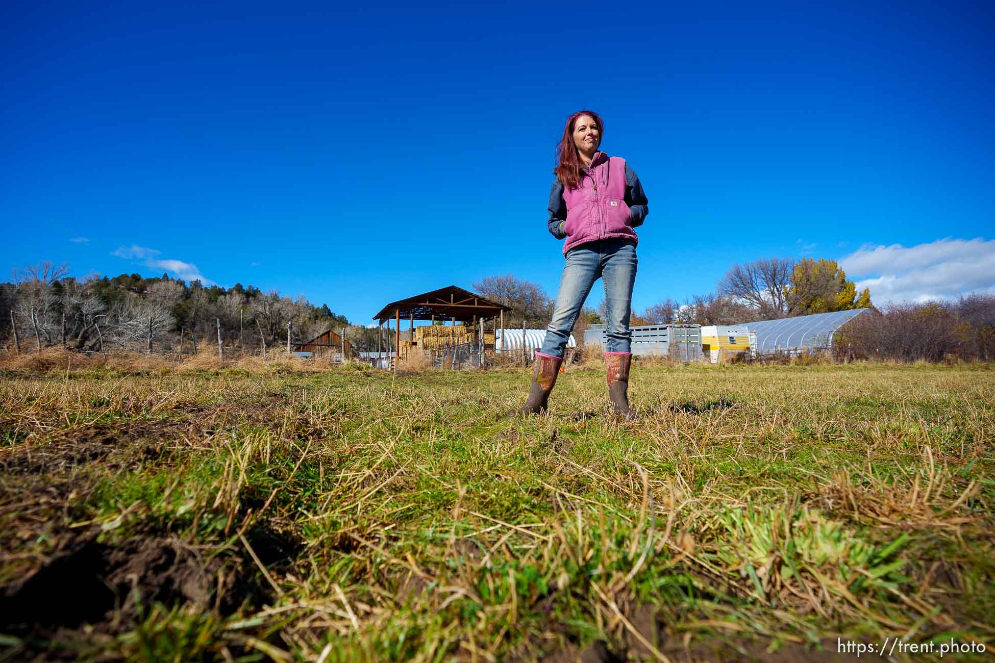 (Trent Nelson  |  The Salt Lake Tribune) Dusty Reese on her family's farm in Mt. Carmel on Thursday, Nov. 10, 2022.