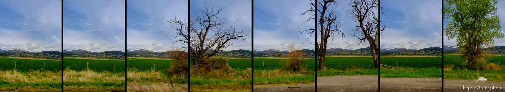 driving from  Richfield, Friday, May 16, 2014.