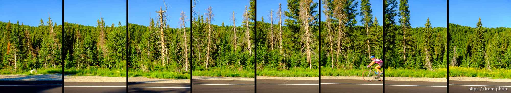 driving, Wednesday, July 16, 2014.