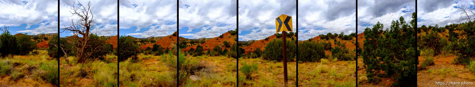 driving, Thursday, July 24, 2014.