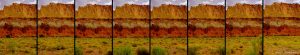 driving, capitol reef national park, Thursday July 24, 2014.