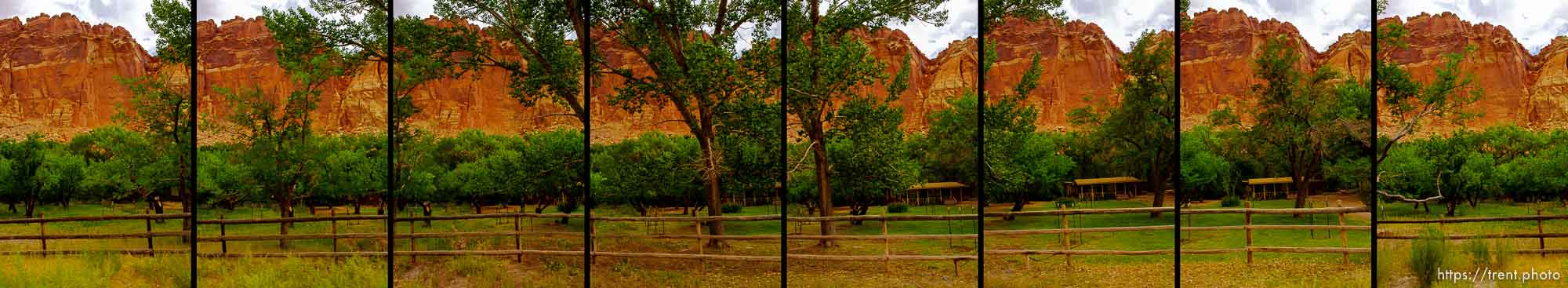 driving, capitol reef national park, Thursday July 24, 2014.