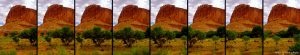 driving, capitol reef national park, Thursday July 24, 2014.