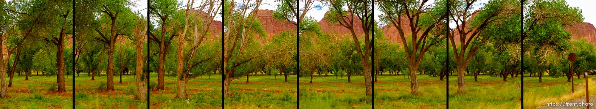 driving, capitol reef national park, Thursday July 24, 2014.