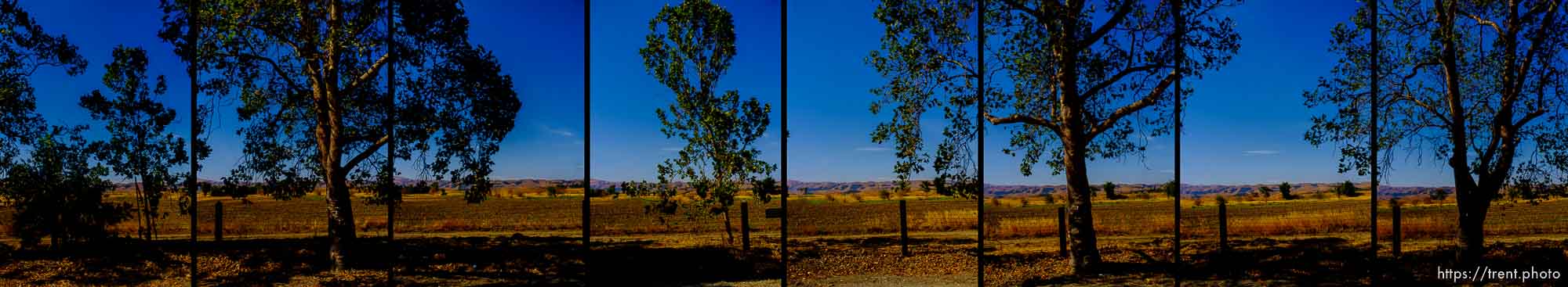 driving, Tuesday, August 12, 2014.