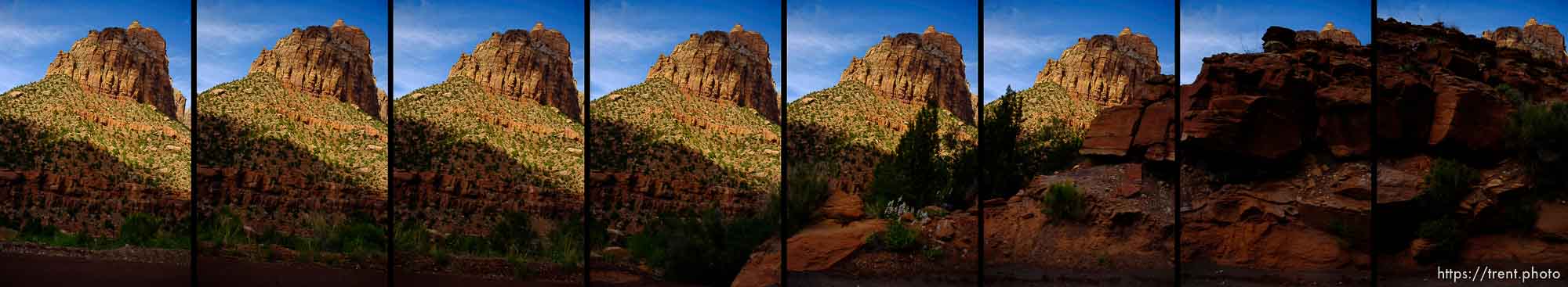 zion-national-park