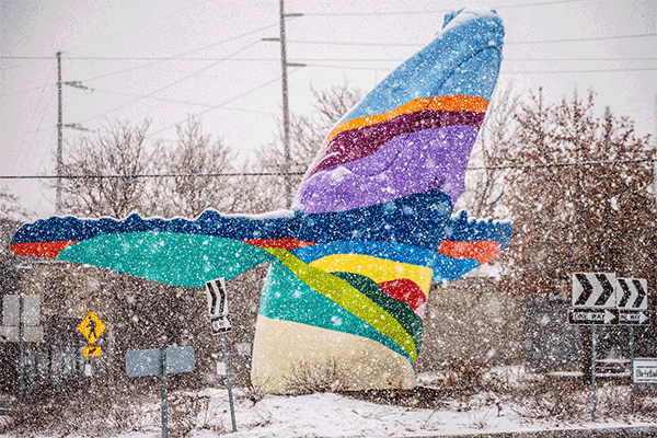 Snow on the Whale