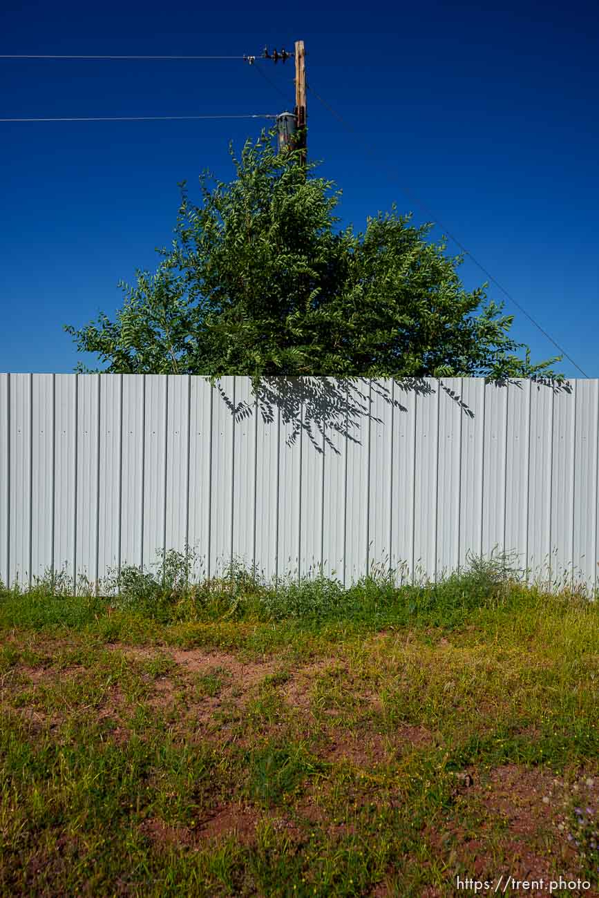 (Trent Nelson  |  The Salt Lake Tribune) Samuel Bateman's Green house in Colorado City, Ariz., on Sunday, Sept. 18, 2022.