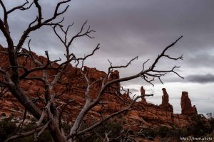 tower arch hike, arches national park, on Sunday, Jan. 1, 2023.