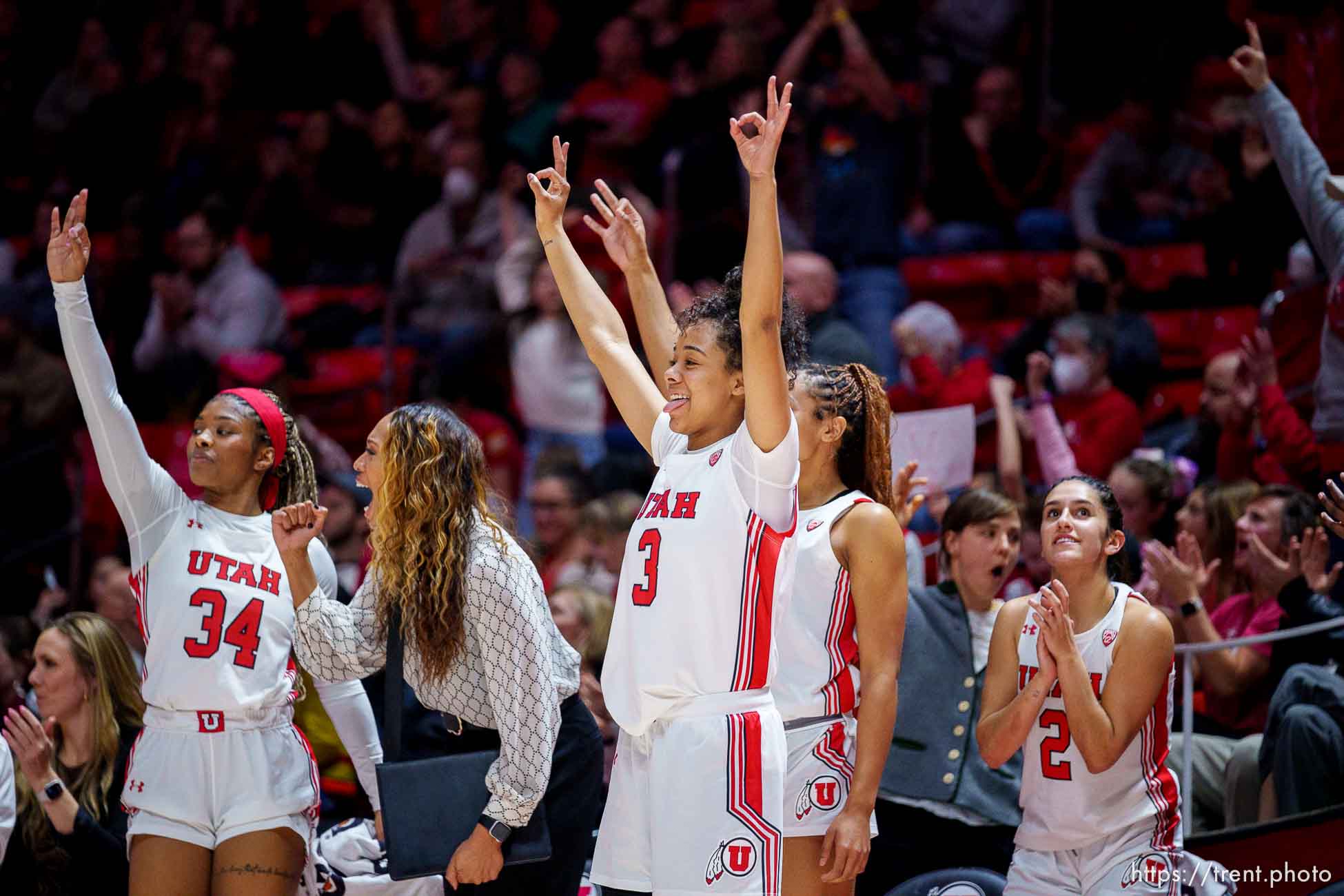 (Trent Nelson  |  The Salt Lake Tribune) The Utah bench celebrates a three-point shot as Utah hosts Washington, NCAA basketball in Salt Lake City on Friday, Feb. 10, 2023.