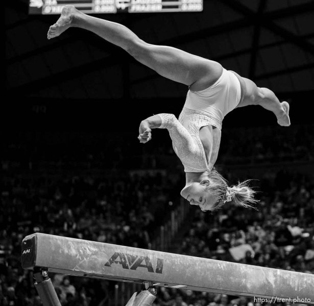 (Trent Nelson  |  The Salt Lake Tribune) Abby Paulson on the beam scores a 9.975 as Utah hosts California, NCAA gymnastics in Salt Lake City on Friday, Feb. 24, 2023.