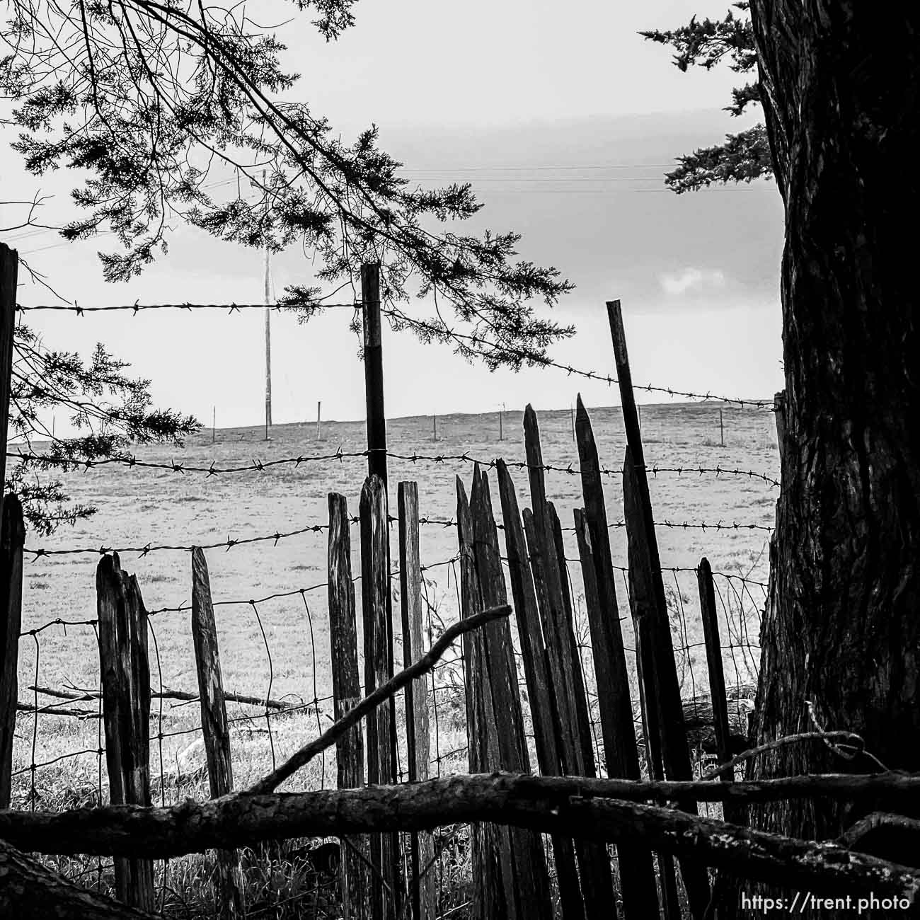 Point Reyes,  on Monday, March 27, 2023.