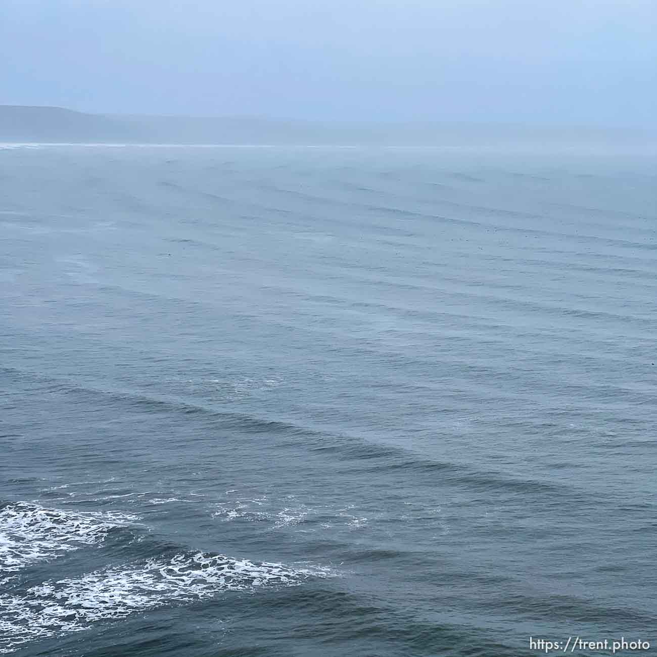 Point Reyes,  on Tuesday, March 28, 2023.