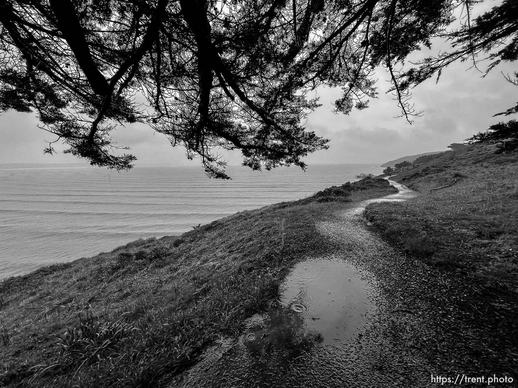 Point Reyes,  on Tuesday, March 28, 2023.