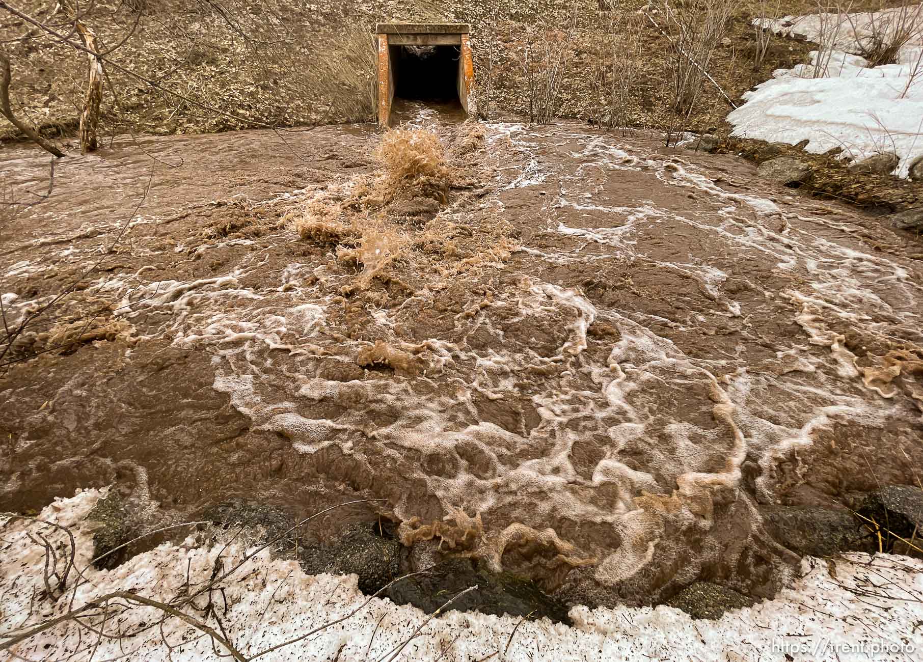 (Trent Nelson  |  The Salt Lake Tribune) Emigration Creek roars in Emigration Canyon on Wednesday, April 12, 2023.