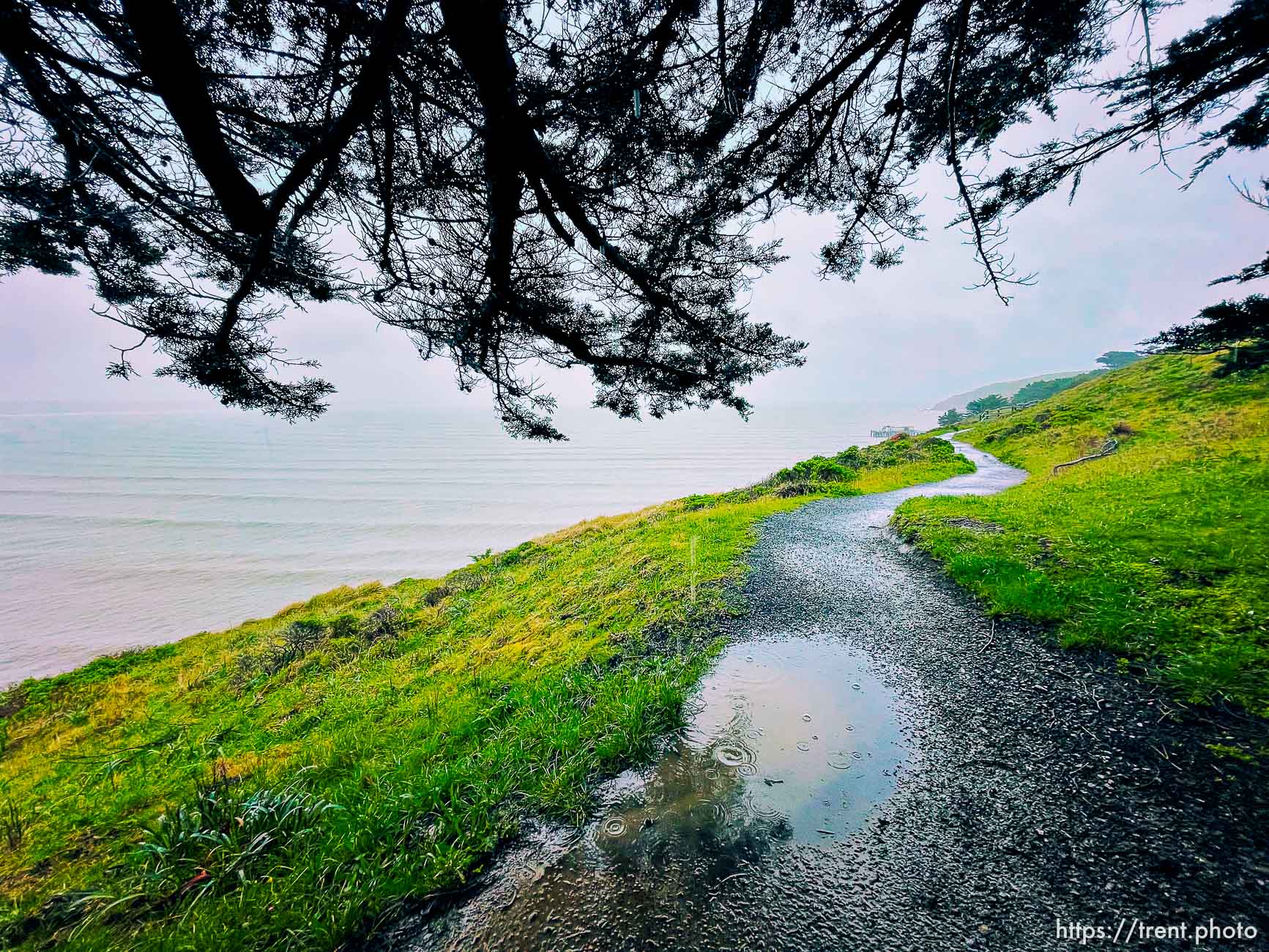 Point Reyes,  on Tuesday, March 28, 2023.