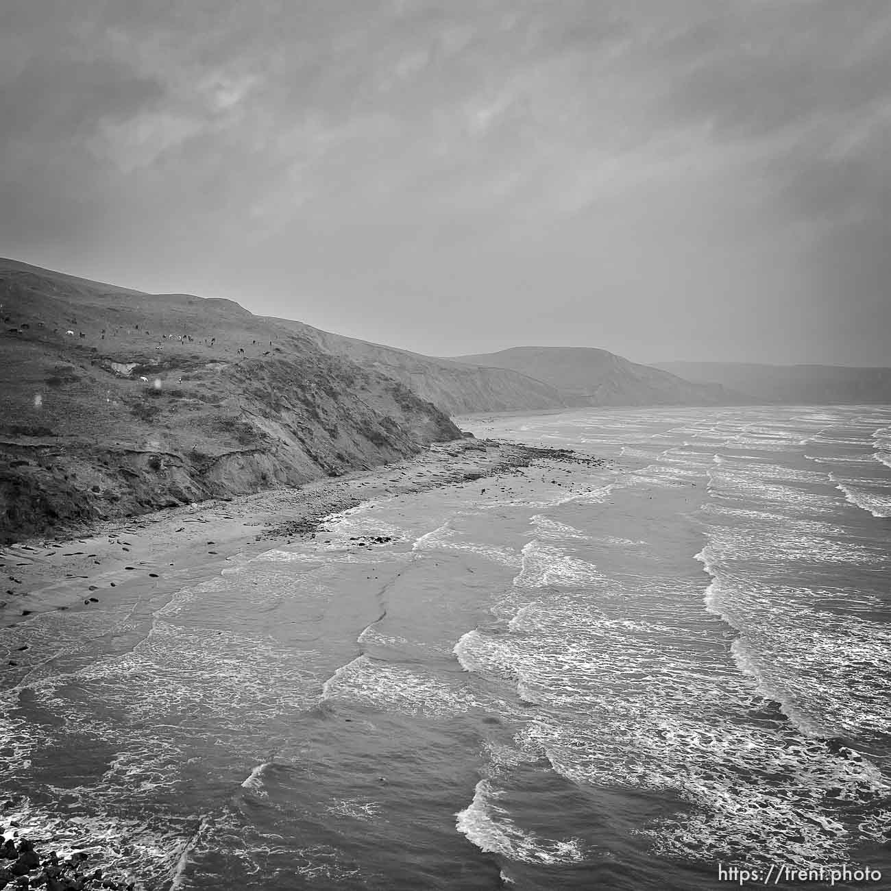 Point Reyes,  on Tuesday, March 28, 2023.