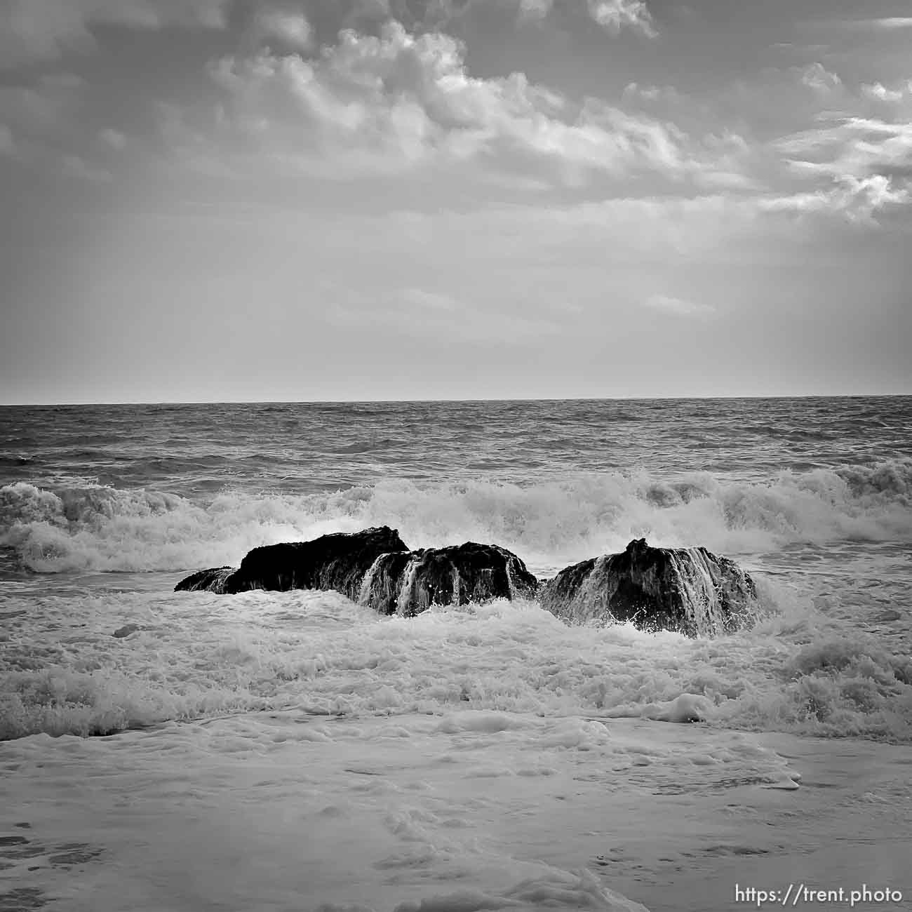 Point Reyes,  on Tuesday, March 28, 2023.