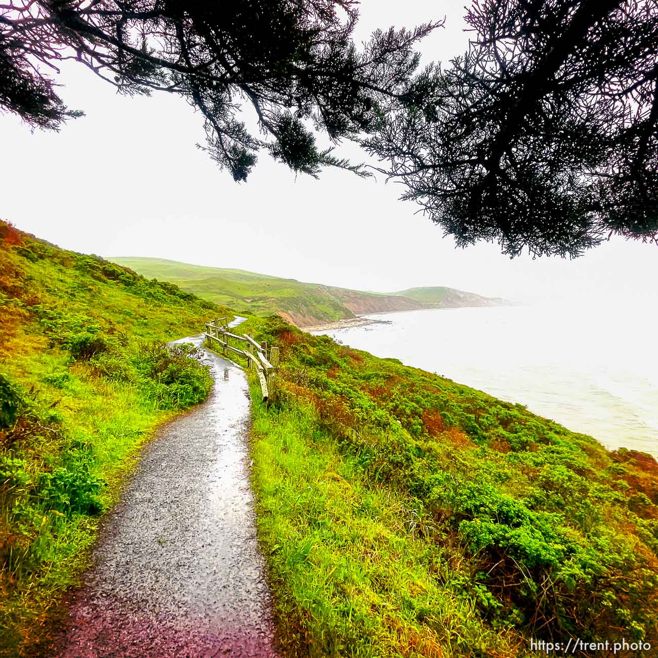 Point Reyes,  on Tuesday, March 28, 2023.