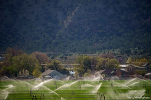 (Trent Nelson  |  The Salt Lake Tribune) A field is watered in Paragonah on Thursday, May 4, 2023.