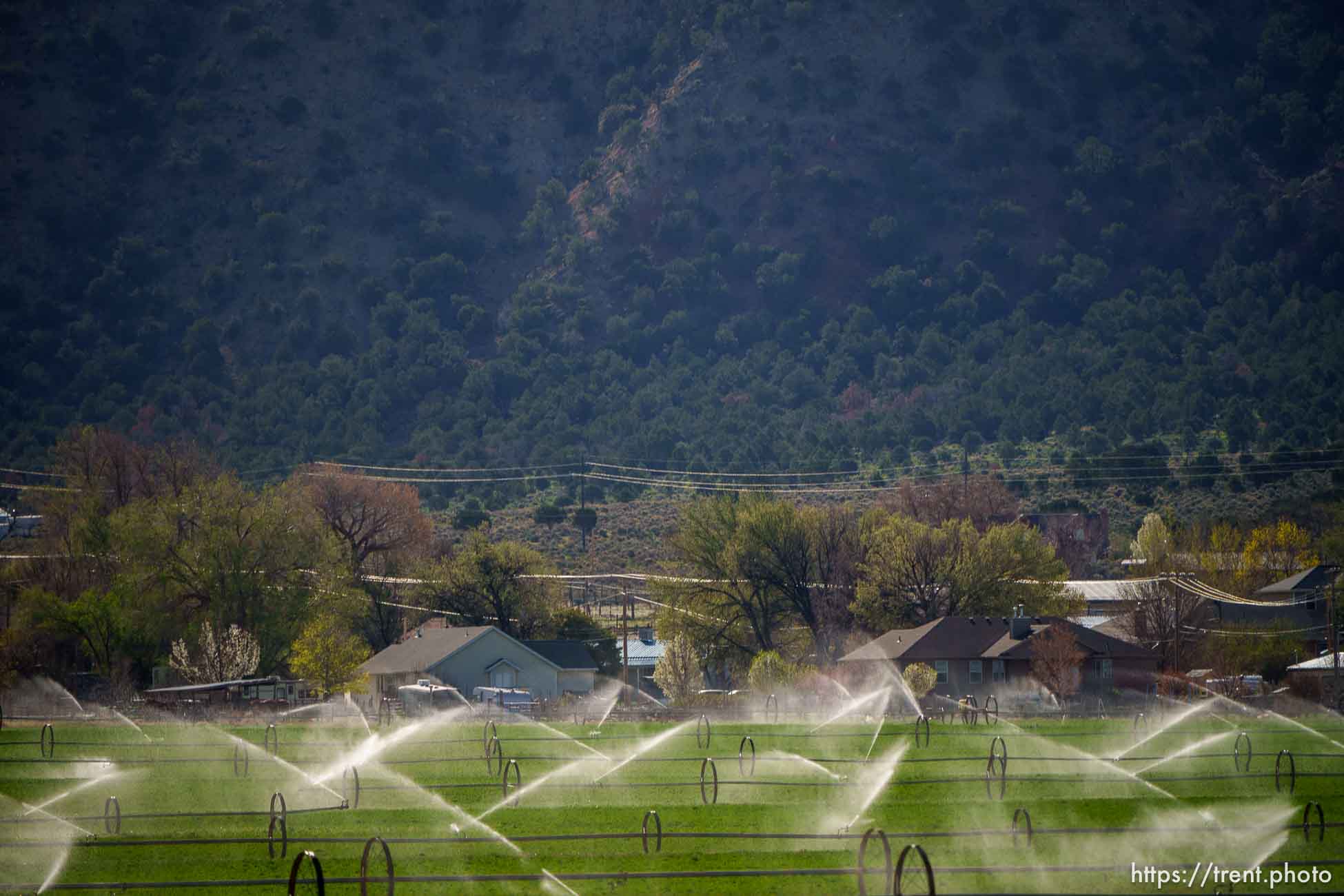 (Trent Nelson  |  The Salt Lake Tribune) A field is watered in Paragonah on Thursday, May 4, 2023.