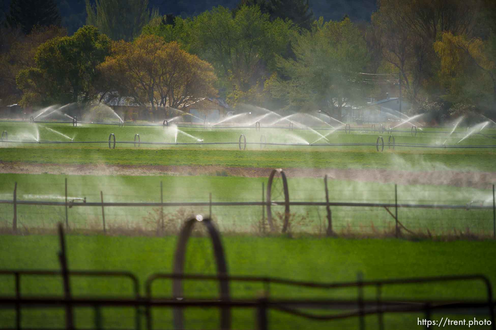 (Trent Nelson  |  The Salt Lake Tribune) A field is watered in Paragonah on Thursday, May 4, 2023.