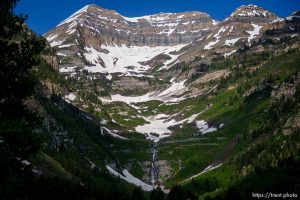 (Trent Nelson  |  The Salt Lake Tribune) The Pahneekahvets Trail at the Sundance Ski Resort on Friday, June 9, 2023.