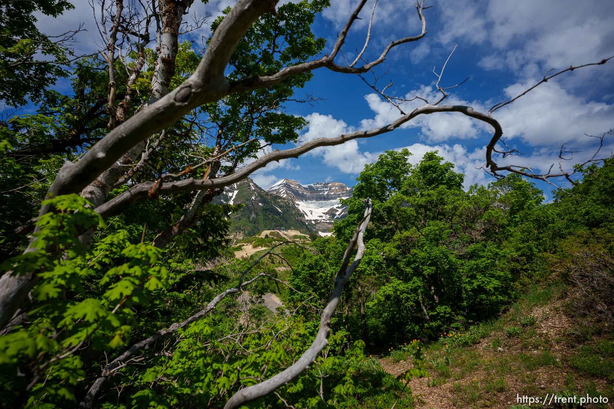 (Trent Nelson  |  The Salt Lake Tribune) Mount Timpanogos  as seen from the Pahneekahvets Trail at the Sundance Ski Resort on Friday, June 9, 2023.