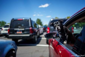 (Trent Nelson  |  The Salt Lake Tribune) Cars lined up at a mobile food pantry sponsored by Utah Food Bank in Taylorsville on Monday, June 26, 2023.