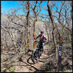 Laura Nelson mountain biking on Sunday, April 30, 2023.