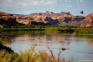 (Trent Nelson  |  The Salt Lake Tribune) The Colorado River flowing next to Kane Creek Blvd in Moab on Thursday, July 27, 2023.