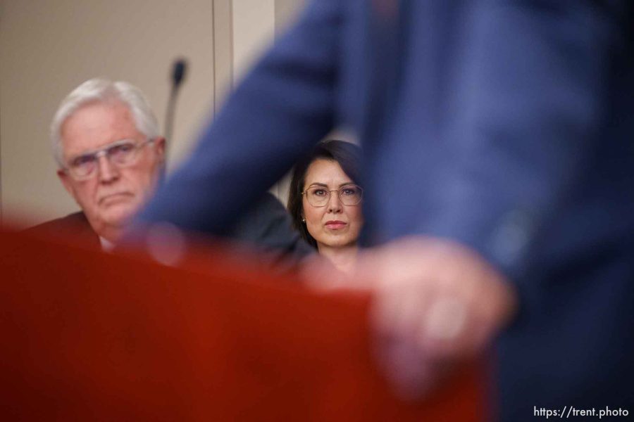 (Trent Nelson  |  The Salt Lake Tribune) Lt. Gov. Deidre Henderson at a hearing on a lawsuit by R. Quin Denning seeking to remove Celeste Maloy as a candidate in the race to replace Rep. Chris Stewart in Congress, in Salt Lake City on Monday, July 31, 2023. At left is Rep. Lowry Snow, R-Santa Clara.