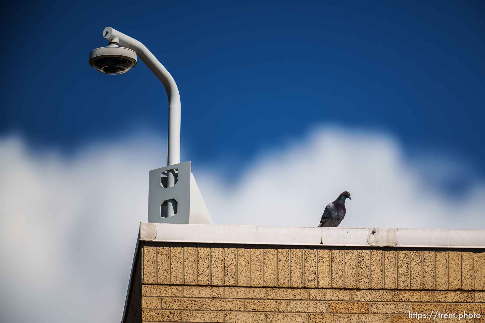 (Trent Nelson  |  The Salt Lake Tribune) Security cameras at East High School in Salt Lake City on Wednesday, Aug. 16, 2023.