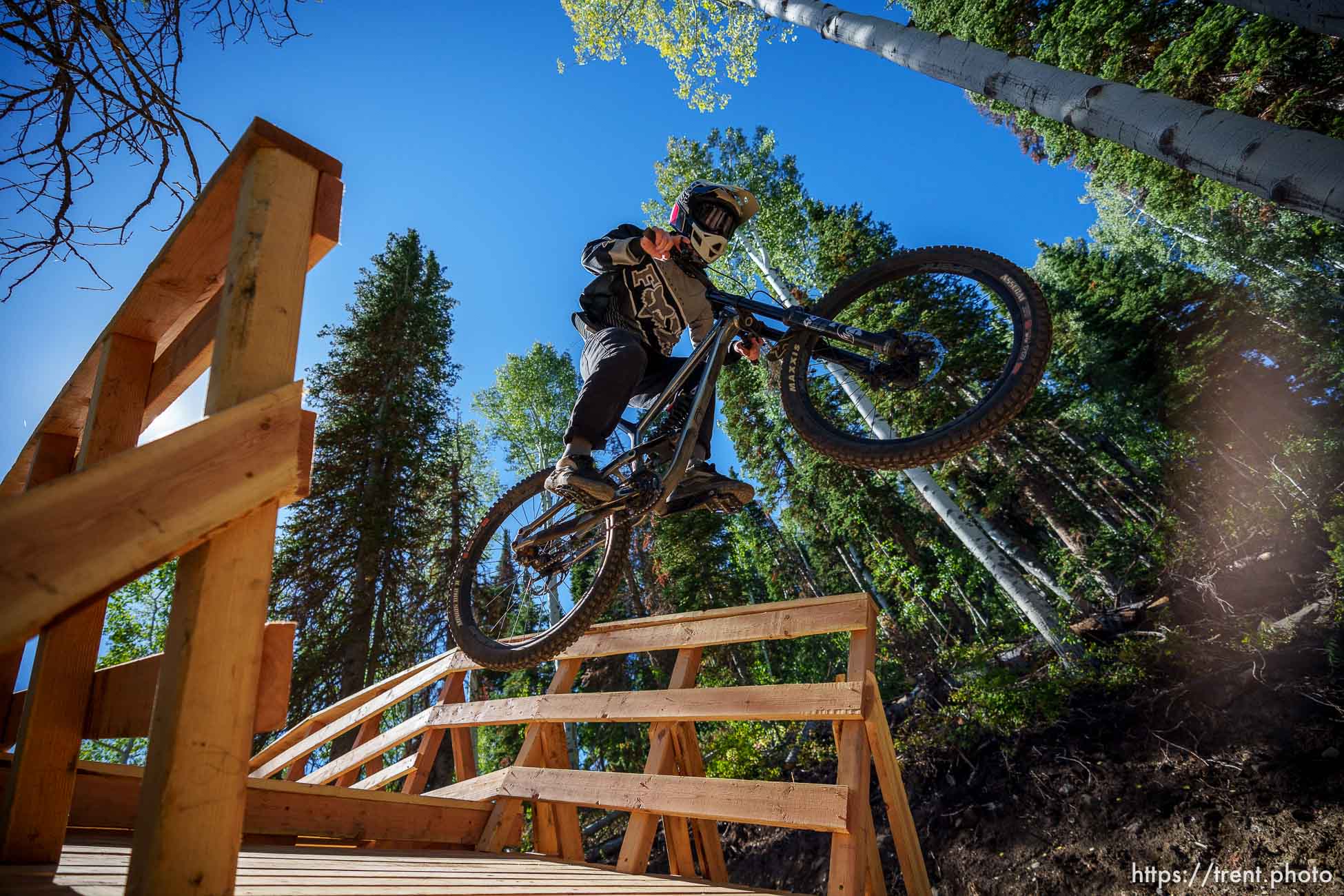 (Trent Nelson  |  The Salt Lake Tribune) A mountain bike rider on the new freeride trail Cobalt Cruise at Solitude Mountain Resort on Friday, Sept. 8, 2023.