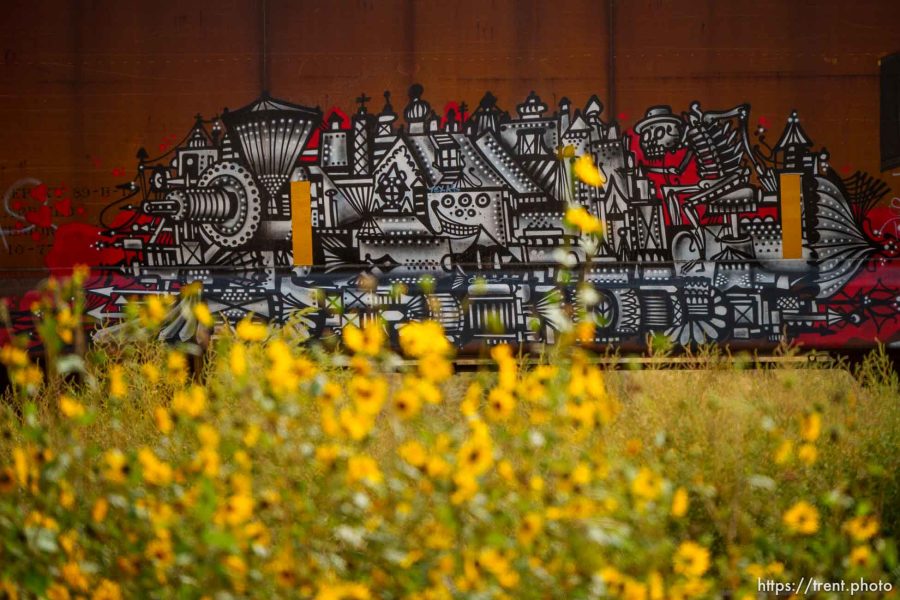 graffiti on train, Thursday September 21, 2023.