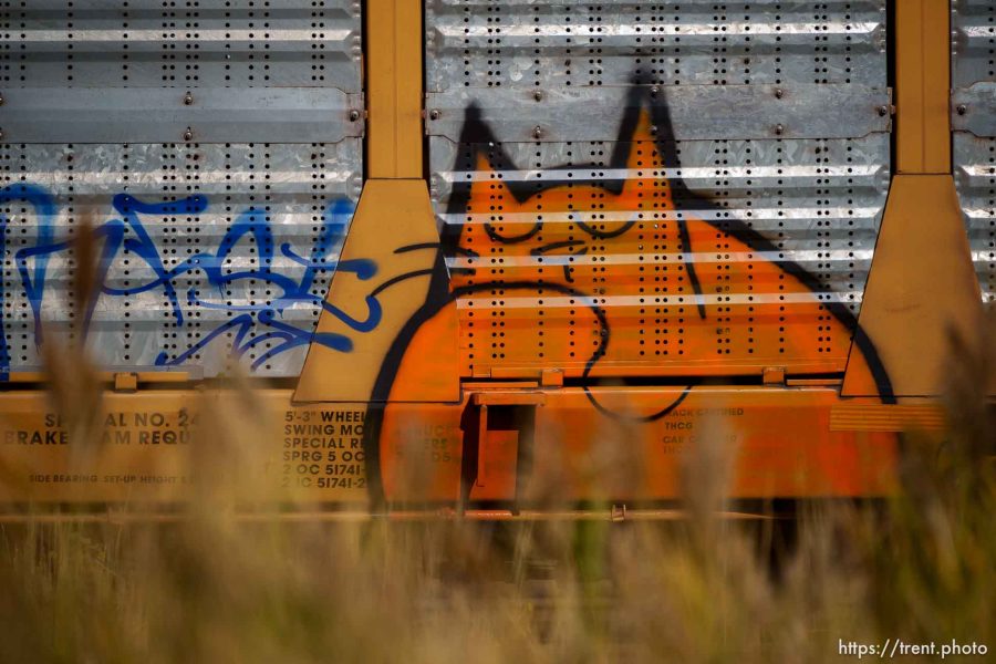 train graffiti, on Monday, Oct. 9, 2023.